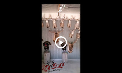 "What's Going On In The Old Barn" 8/14/2020