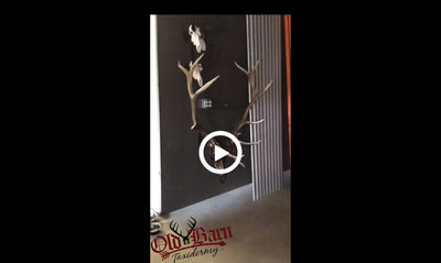 "What's Going On In That Old Barn" Colorado Edition! 8/17/2020