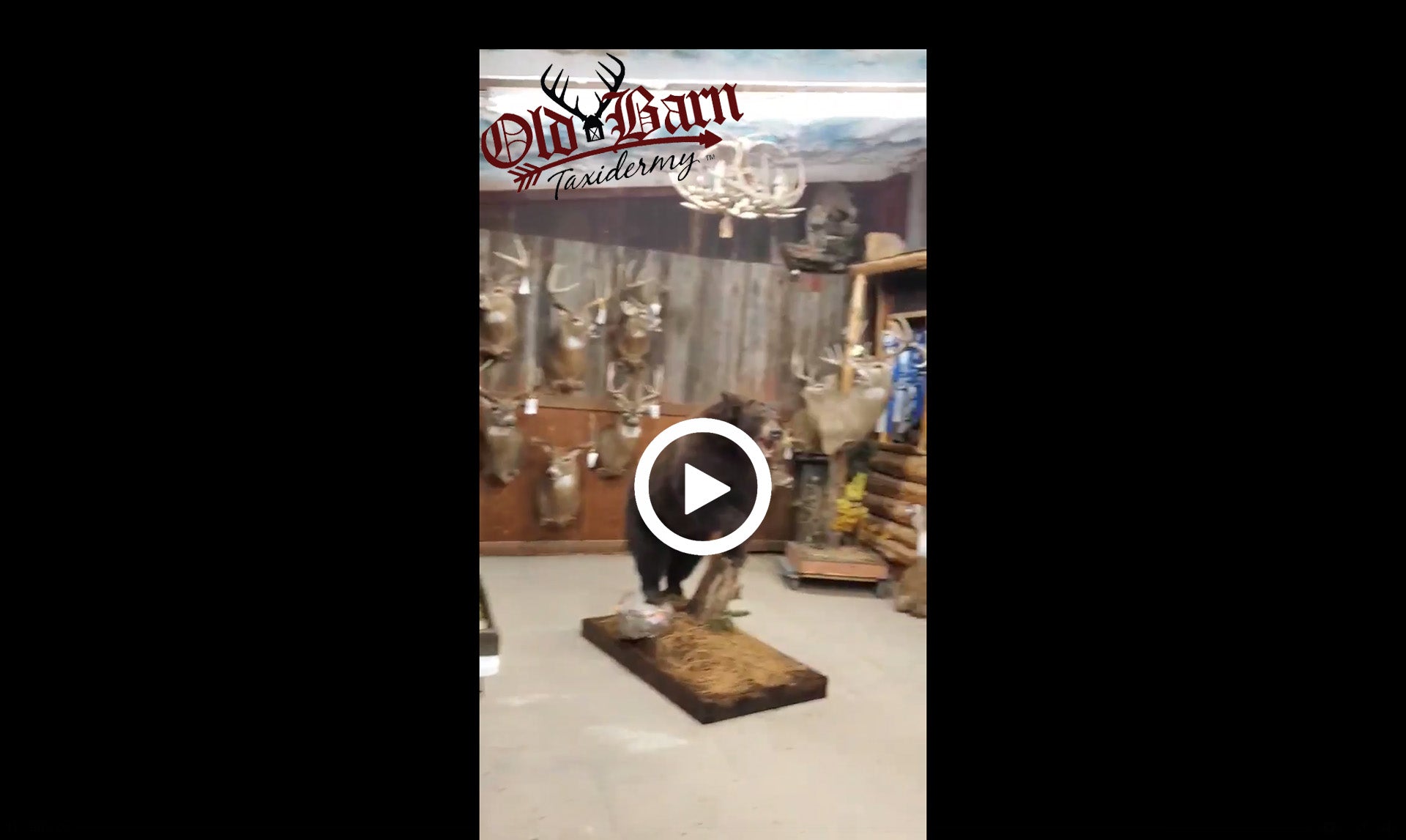 "What's Going On In That Old Barn" 10/23/20