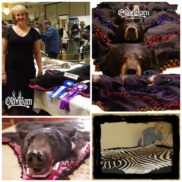 Skinning a Bear for a Rug Mount - VIDEO
