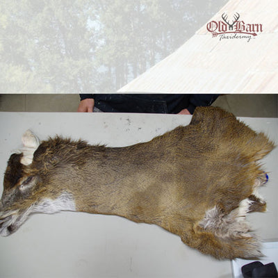 How We Grade & Sell Our Tanned Hides